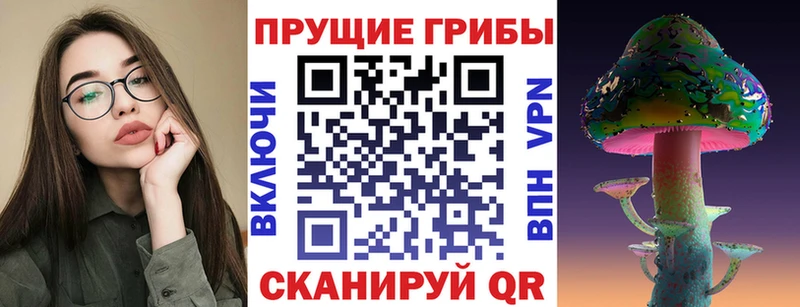 Галлюциногенные грибы мицелий  Купить где  Чита 