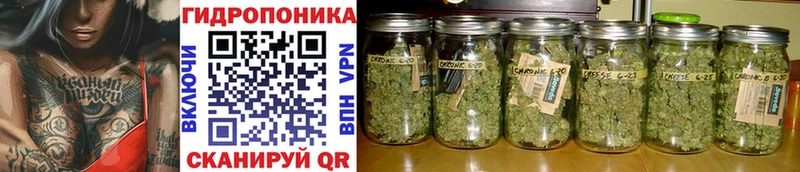 Купить закладки  Чита  Шишки марихуана VHQ 